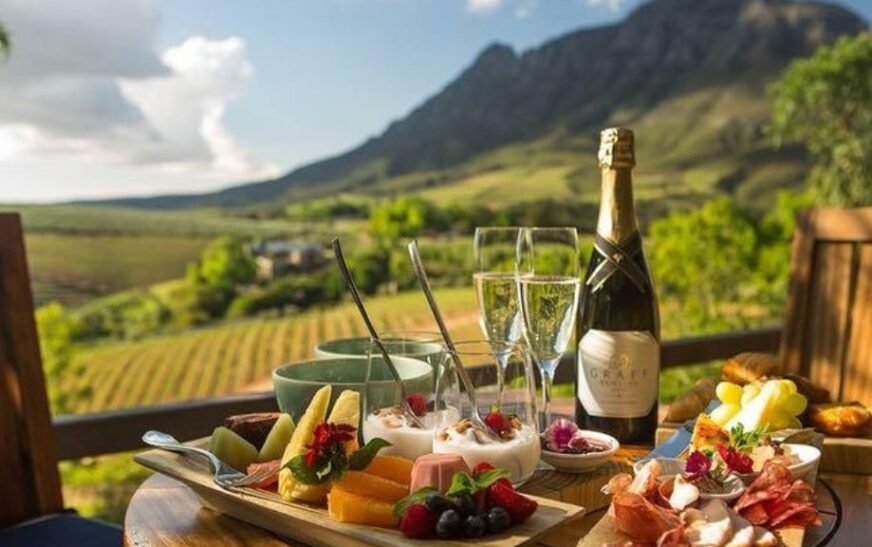 Vineyards in Stellenbosch South Africa