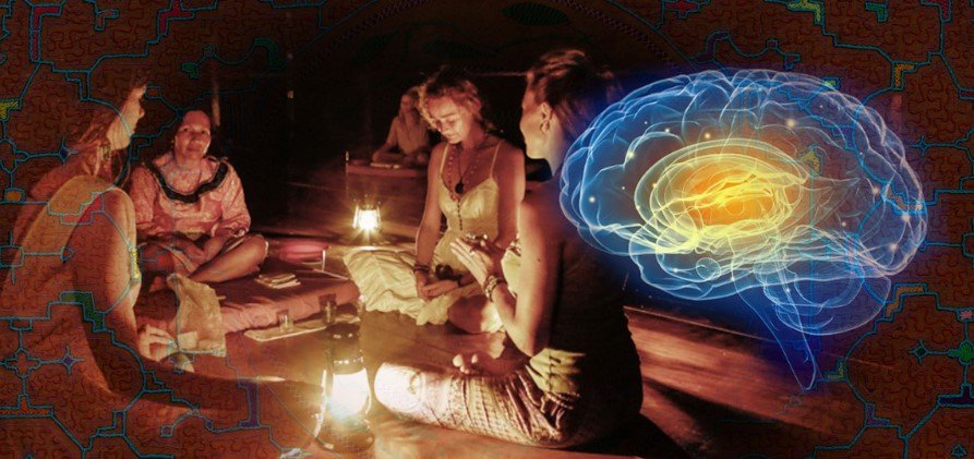 How Master Plant Dietas Transform Your Spiritual Journey